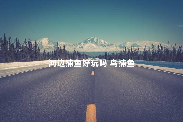 河边捕鱼好玩吗 鸟捕鱼